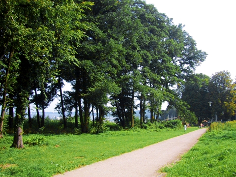 der Schwielowsee